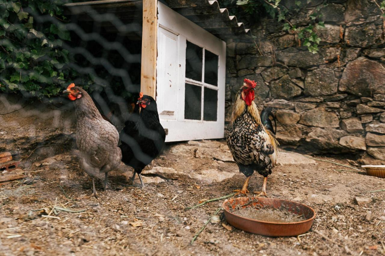 Country Village Senses Reguengo Grande Εξωτερικό φωτογραφία